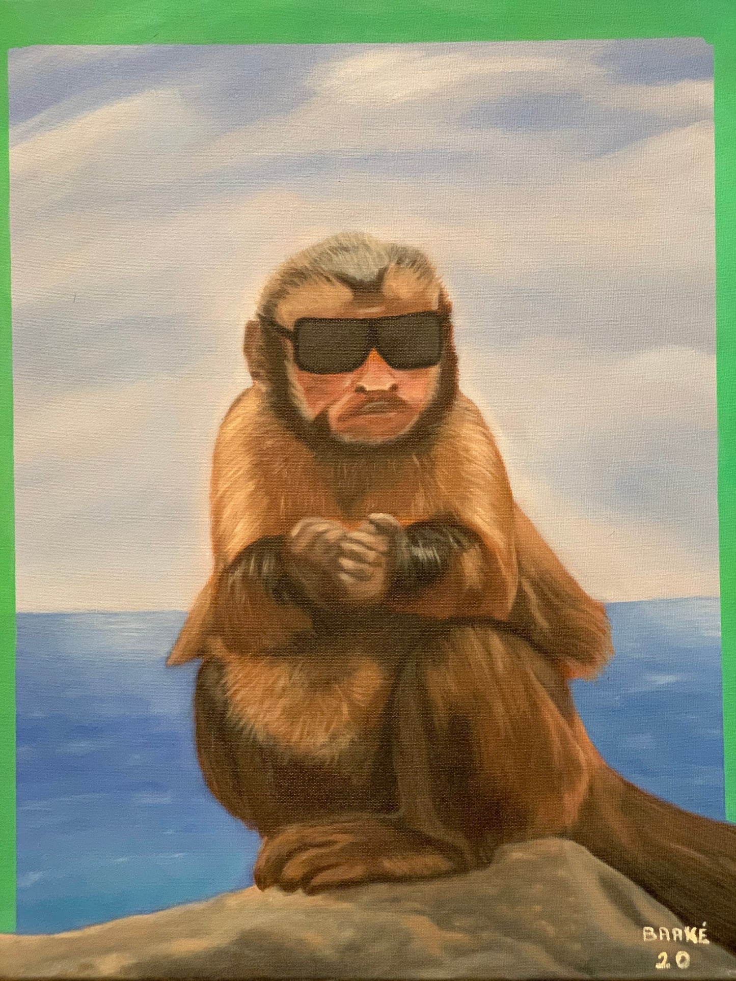 COOL MONKEY